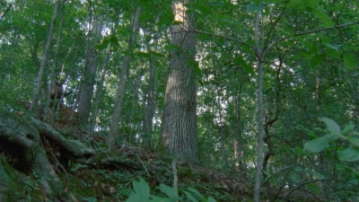 twd2x05_0346.jpg