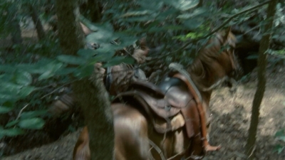 twd2x05_0361.jpg