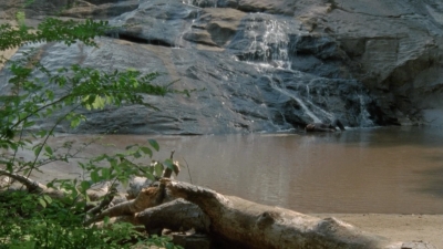 twd2x05_0373.jpg