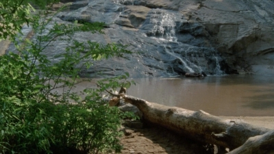 Click to view full size image
==============
twd2x05_0375.jpg twd2x05_0375.jpg