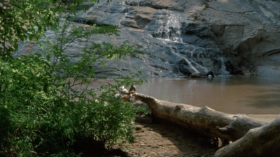 Click to view full size image
==============
twd2x05_0376.jpg twd2x05_0376.jpg