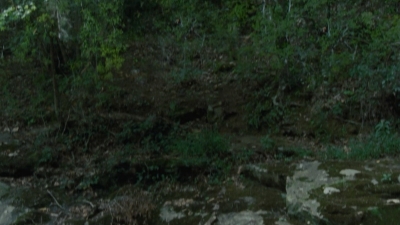 twd2x05_0393.jpg