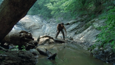 twd2x05_0401.jpg