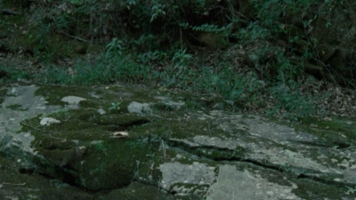 twd2x05_0412.jpg