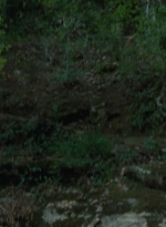 twd2x05_0393.jpg