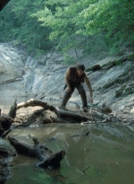 twd2x05_0401.jpg