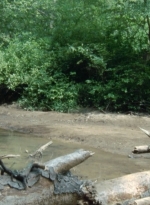 twd2x05_0405.jpg