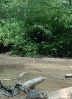 twd2x05_0406.jpg