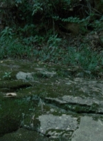 twd2x05_0412.jpg