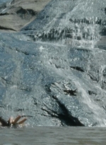 twd2x05_0413.jpg