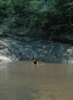 twd2x05_0414.jpg