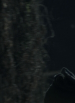 twd2x05_1066.jpg