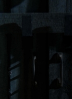 twd2x05_1101.jpg