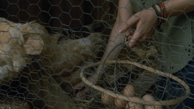 twd2x07_0076.jpg