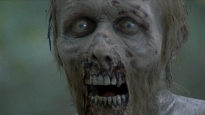 twd2x11_0548.jpg