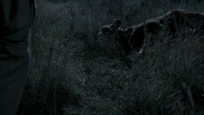 twd2x11_1055.jpg