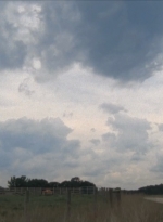 twd2x11_0313.jpg