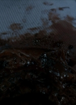 twd2x11_1098.jpg