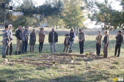 S02E12 - Better Angels
