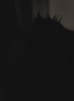 wd301hd_2402.jpg