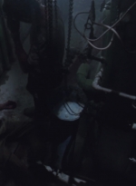 WD305HD_01082.jpg
