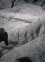 WD307HD_1343.jpg