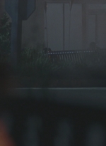WD308HD_1150.jpg
