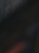 WD308HD_1151.jpg