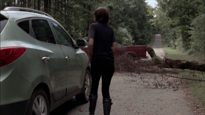 WD309HD_0980.jpg