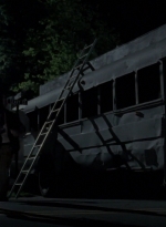 WD309HD_0285.jpg
