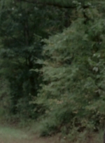 WD309HD_1100.jpg