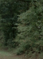 WD309HD_1101.jpg