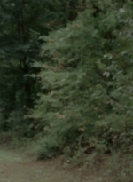 WD309HD_1102.jpg