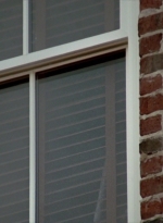 WD309HD_1799.jpg