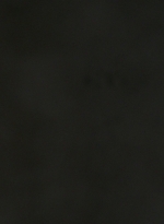WD313HD_0489.jpg