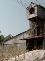 WD313HD_0814.jpg