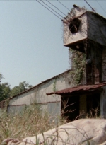 WD313HD_0815.jpg