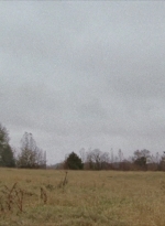 WD314HD_1095.jpg
