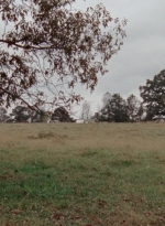 WD314HD_1108.jpg