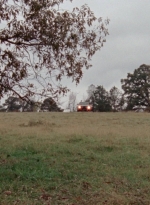 WD314HD_1110.jpg