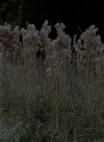 WD314HD_1155.jpg