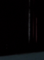WD314HD_1189.jpg