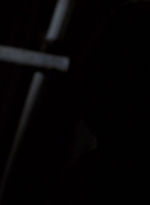 WD314HD_1612.jpg