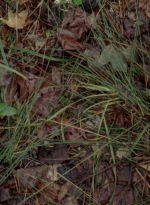WD314HD_1704.jpg
