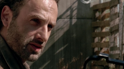 twd315-000081.jpg