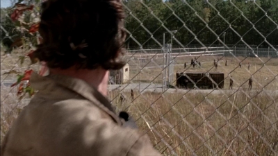 twd315-000379.jpg