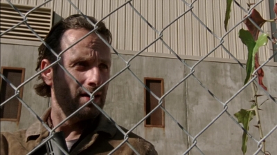 twd315-000381.jpg