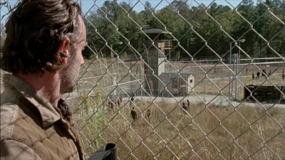 twd315-000394.jpg