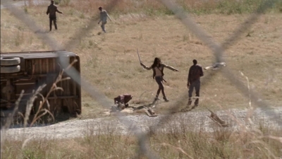 twd315-000411.jpg