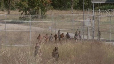 twd315-000434.jpg